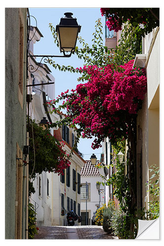 Naklejka na ścianę Small alley with blooming red bougainvillea