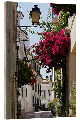 Holzbild Kleine Gasse mit blühender roter Bougainvillea