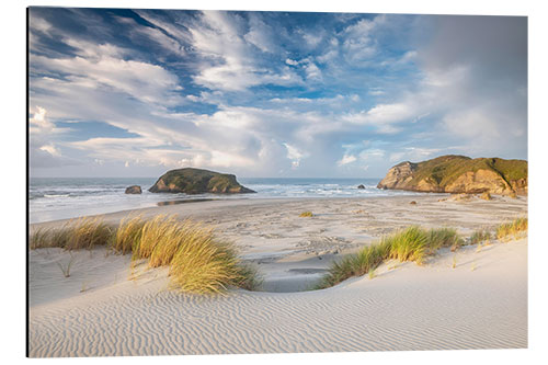 Alubild Felsinsel am Wharariki Strand