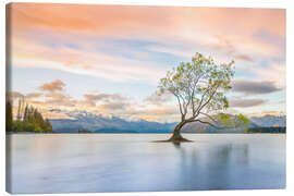 Lærredsbillede  Lonely tree in Wanaka lake - Moritz Wolf