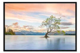 Gerahmter Kunstdruck Einsamer Baum im Wanaka See