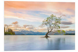 Hartschaumbild Einsamer Baum im Wanaka See