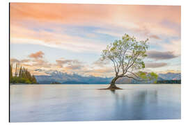 Magnettafel Einsamer Baum im Wanaka See