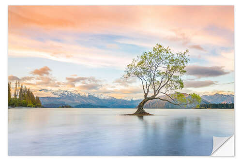 Wall sticker Lonely tree in Wanaka lake