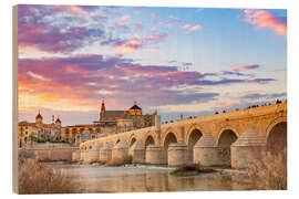 Quadro de madeira Puente Romano em Córdoba