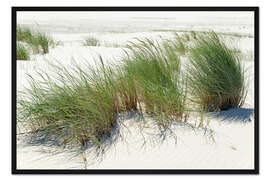 Gerahmter Kunstdruck Strandhafer