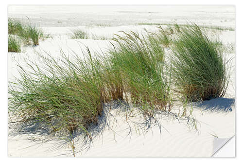 Naklejka na ścianę Beach grass