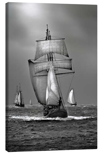 Canvas print Sailing ship, tall ship