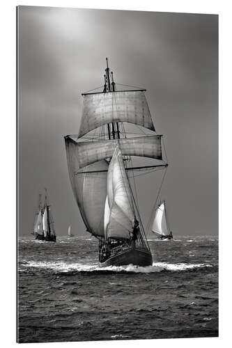 Gallery print Sailing ship, tall ship