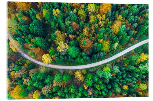 Acrylic print Autumn in the Swabian Forest