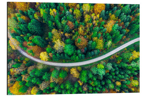 Alubild Herbst im Schwäbischen Wald