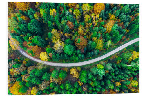 Tableau en PVC L'automne dans la forêt souabe