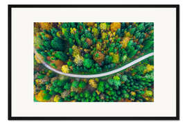 Gerahmter Kunstdruck Herbst im Schwäbischen Wald