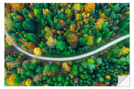 Selvklebende plakat Autumn in the Swabian Forest