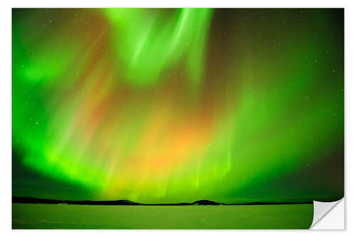 Selvklebende plakat Aurora Borealis over the frozen Inari Lake