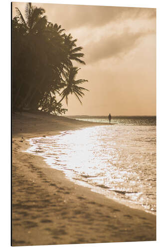 Aluminium print Tropical sunset with palm trees