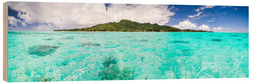 Wood print Tropical island of Rarotonga in the Pacific Ocean