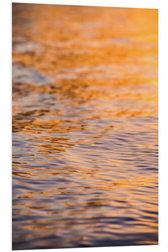 Foam board print Sunset reflects in the ocean