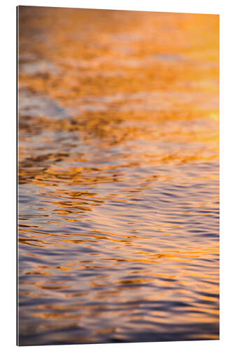 Galleritryck Sunset reflects in the ocean