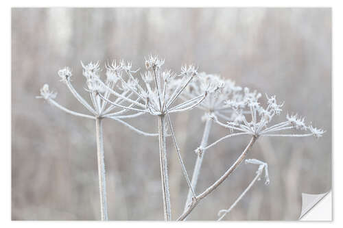 Wall sticker Winter Impression