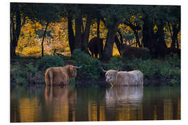 Tableau en PVC Baignade en automne