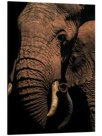 Magnettafel Nahaufnahme eines Afrikanischen Elefanten