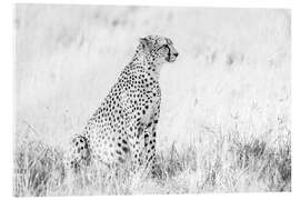 Akryylilasitaulu Cheetah- African wildlife