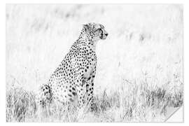 Selvklebende plakat Cheetah- African wildlife