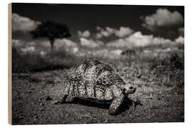 Holzbild Schildkröte - afrikanische Tierwelt