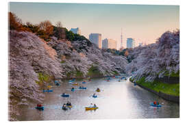 Acrylic print Springtime in Tokyo