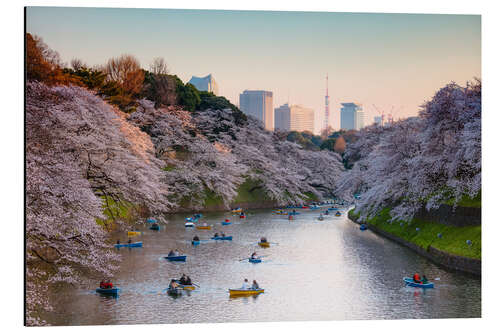 Aluminiumsbilde Springtime in Tokyo