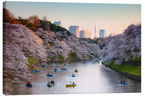 Leinwandbild Frühling in Tokio