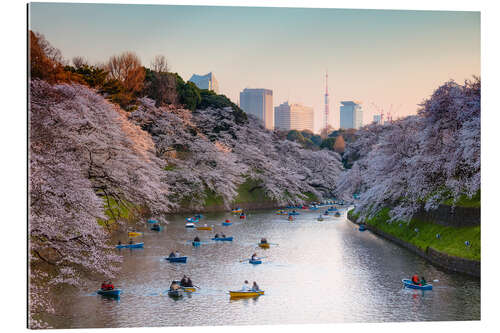 Tableau en plexi-alu Le printemps à Tokyo