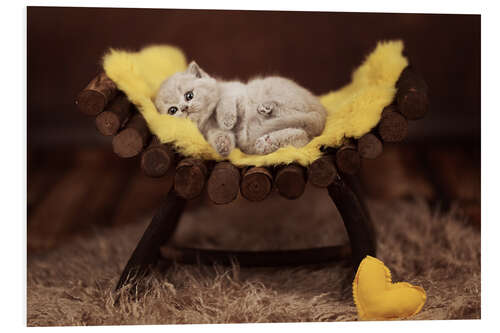 Tableau en PVC Doux câlins de chaton