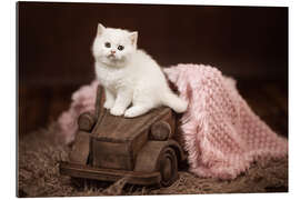 Gallery print Kitten on a wooden car