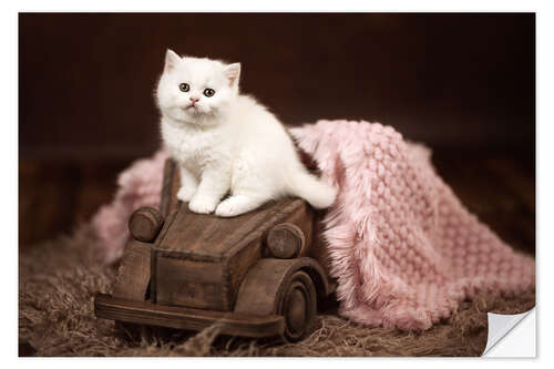 Wall sticker Kitten on a wooden car