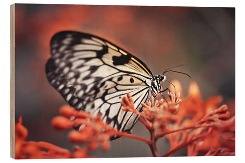 Holzbild Bunter Schmetterling