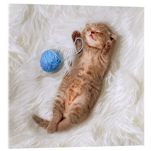 Cuadro de metacrilato Kitten with a ball all of wool