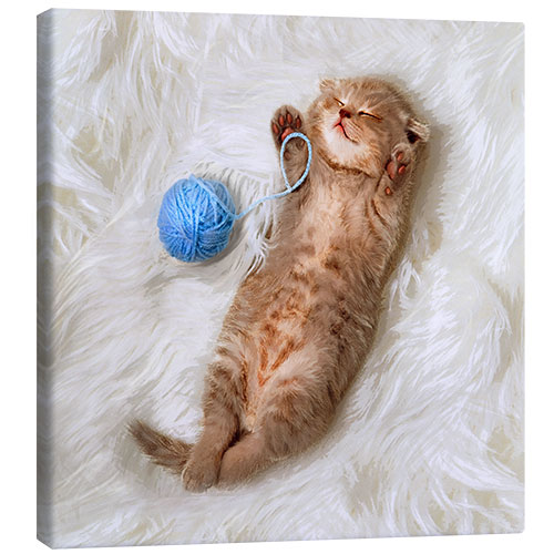 Lærredsbillede Kitten with a ball all of wool