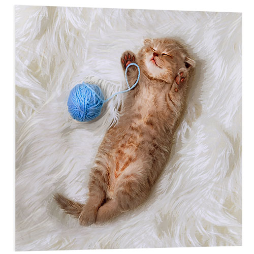 Tableau en PVC Kitten with a ball all of wool