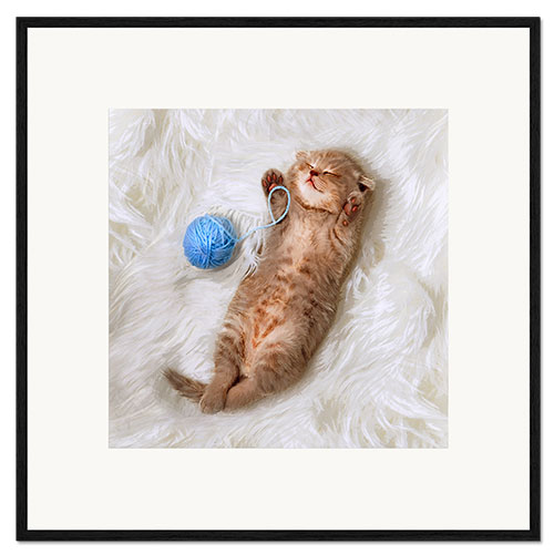 Impressão artística com moldura Kitten with a ball all of wool