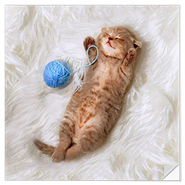 Selvklebende plakat Kitten with a ball all of wool