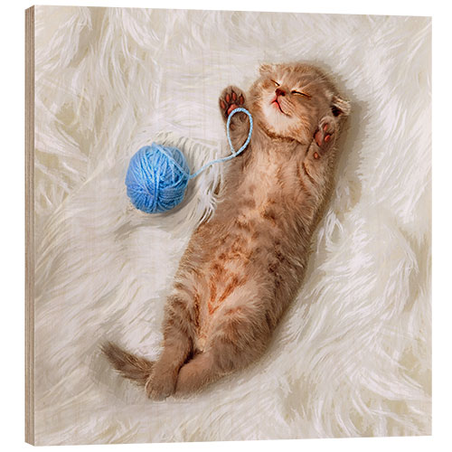 Stampa su legno Kitten with a ball all of wool