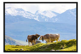 Gerahmter Kunstdruck Kühe auf der Alm in der Schweiz