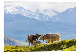 Hartschaumbild Kühe auf der Alm in der Schweiz