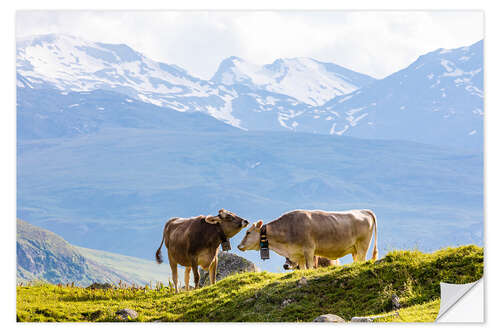 Sticker mural Vaches dans l'alpage en Suisse