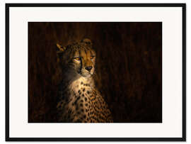 Gerahmter Kunstdruck Porträt eines Geparden