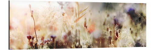 Aluminium print Grasses and wildflowers in pastel colors