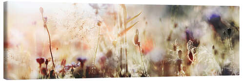 Canvas print Grasses and wildflowers in pastel colors