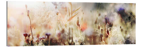 Gallery print Grasses and wildflowers in pastel colors